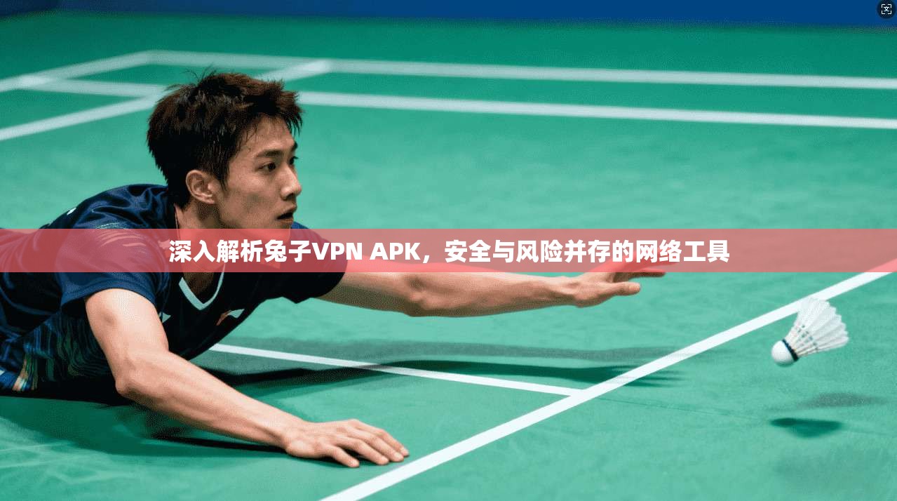 深入解析兔子VPN APK，安全与风险并存的网络工具