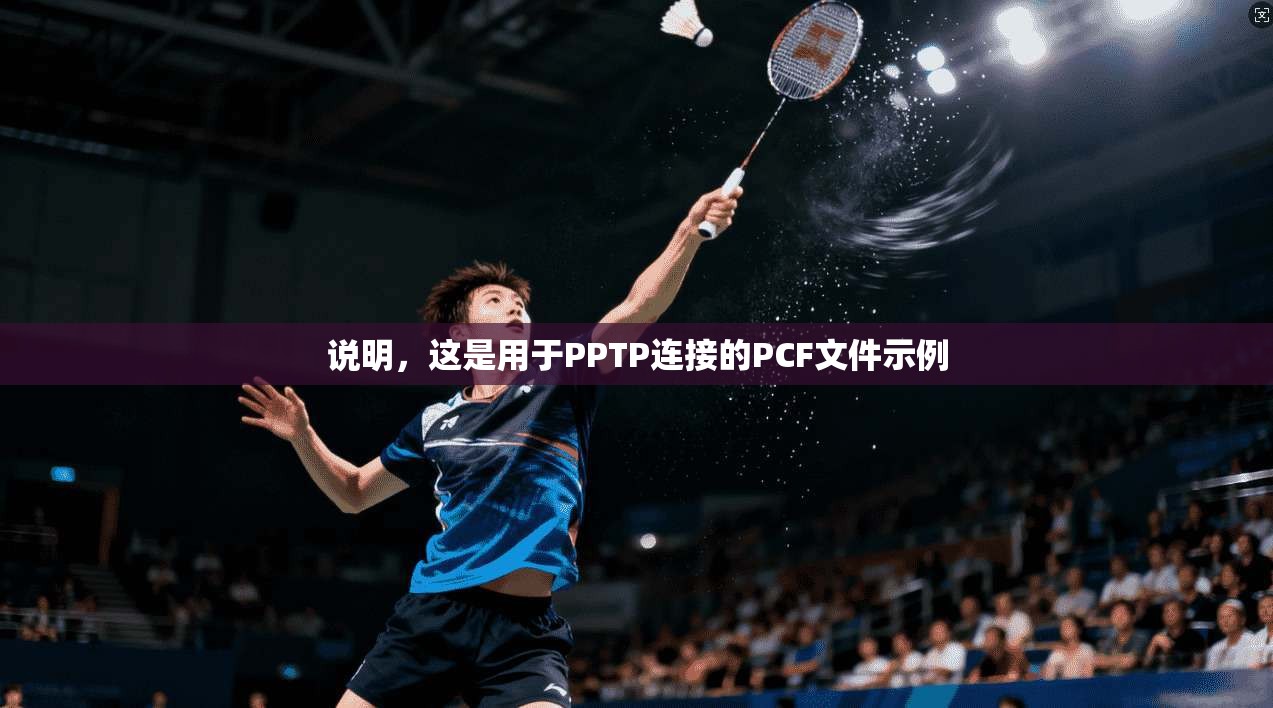 说明，这是用于PPTP连接的PCF文件示例