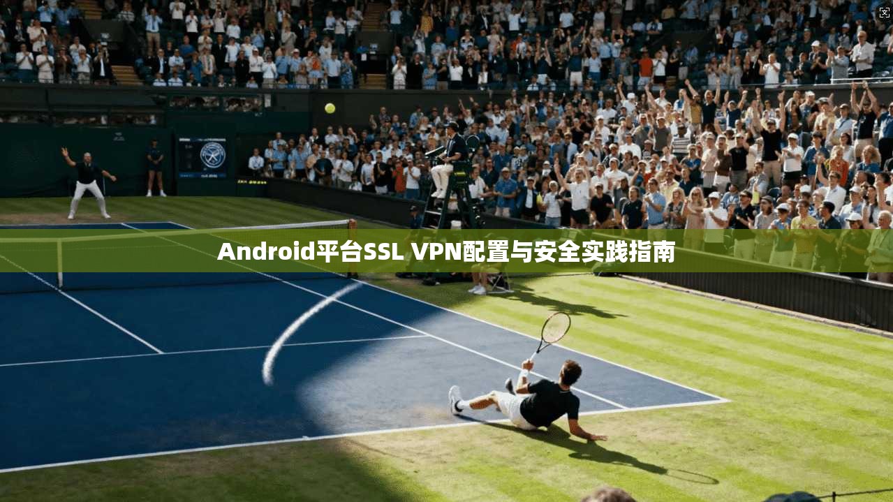 Android平台SSL VPN配置与安全实践指南