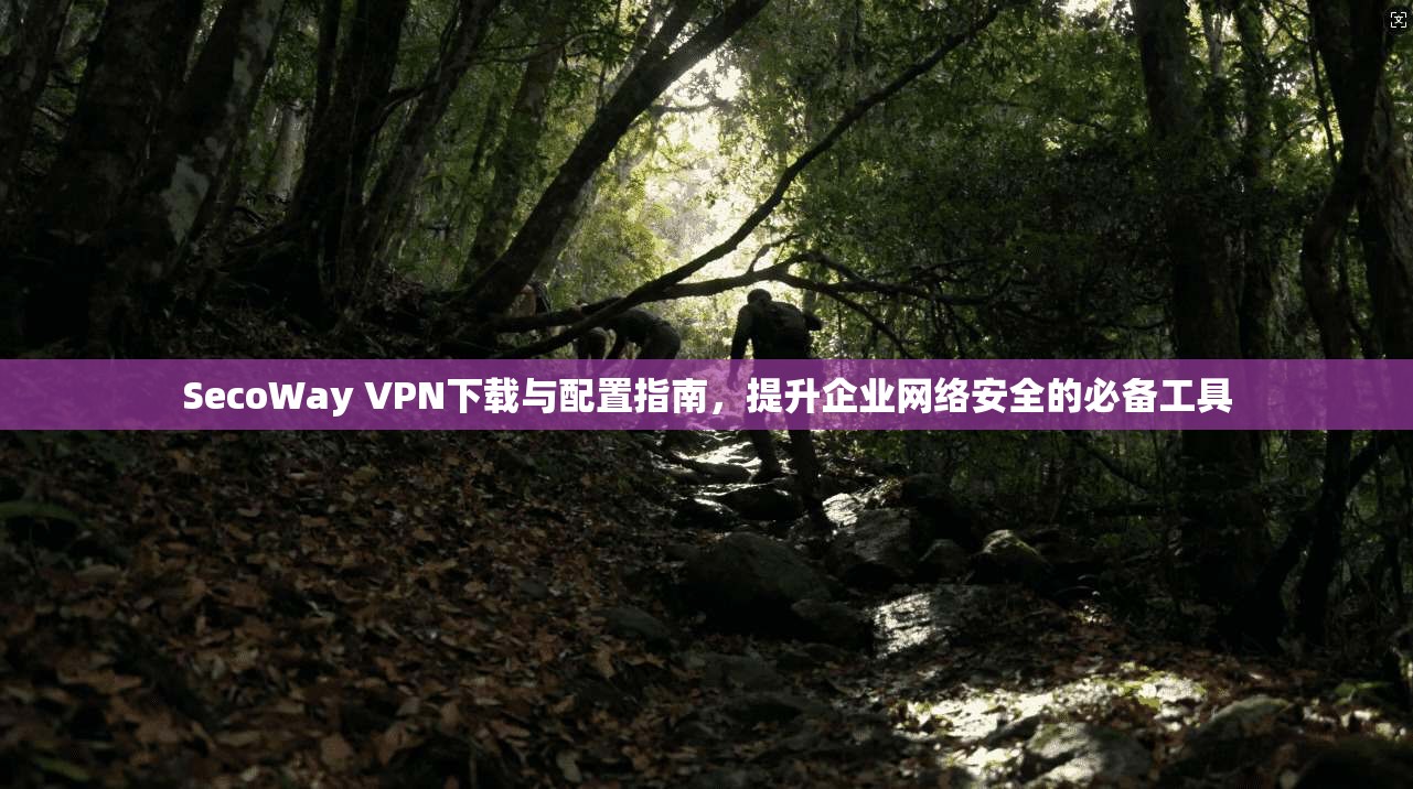 SecoWay VPN下载与配置指南，提升企业网络安全的必备工具