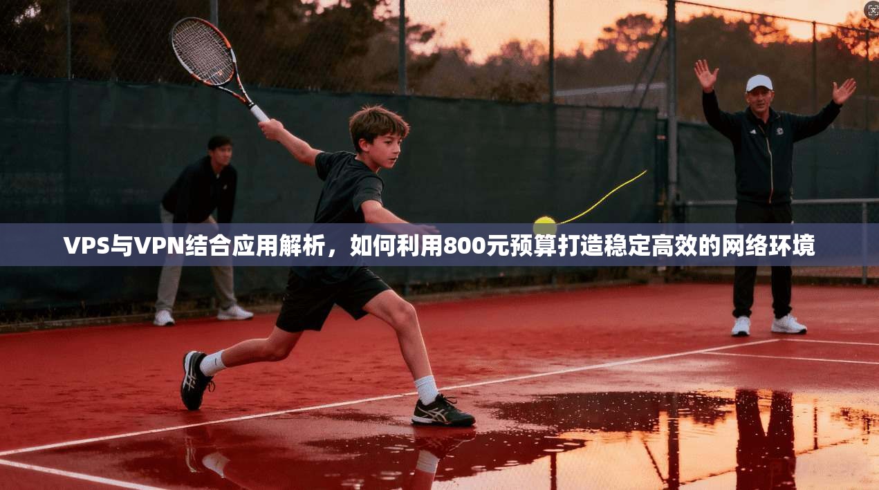 VPS与VPN结合应用解析，如何利用800元预算打造稳定高效的网络环境