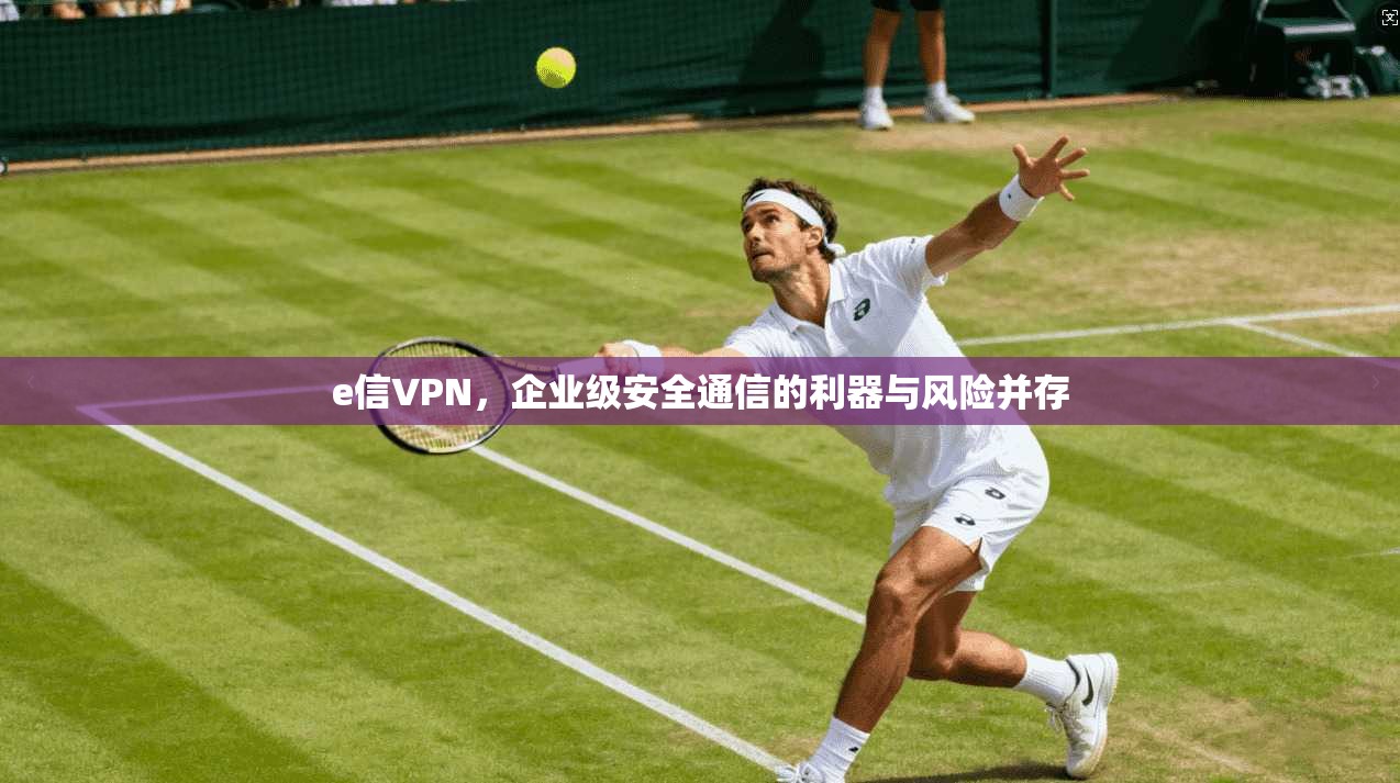 e信VPN，企业级安全通信的利器与风险并存