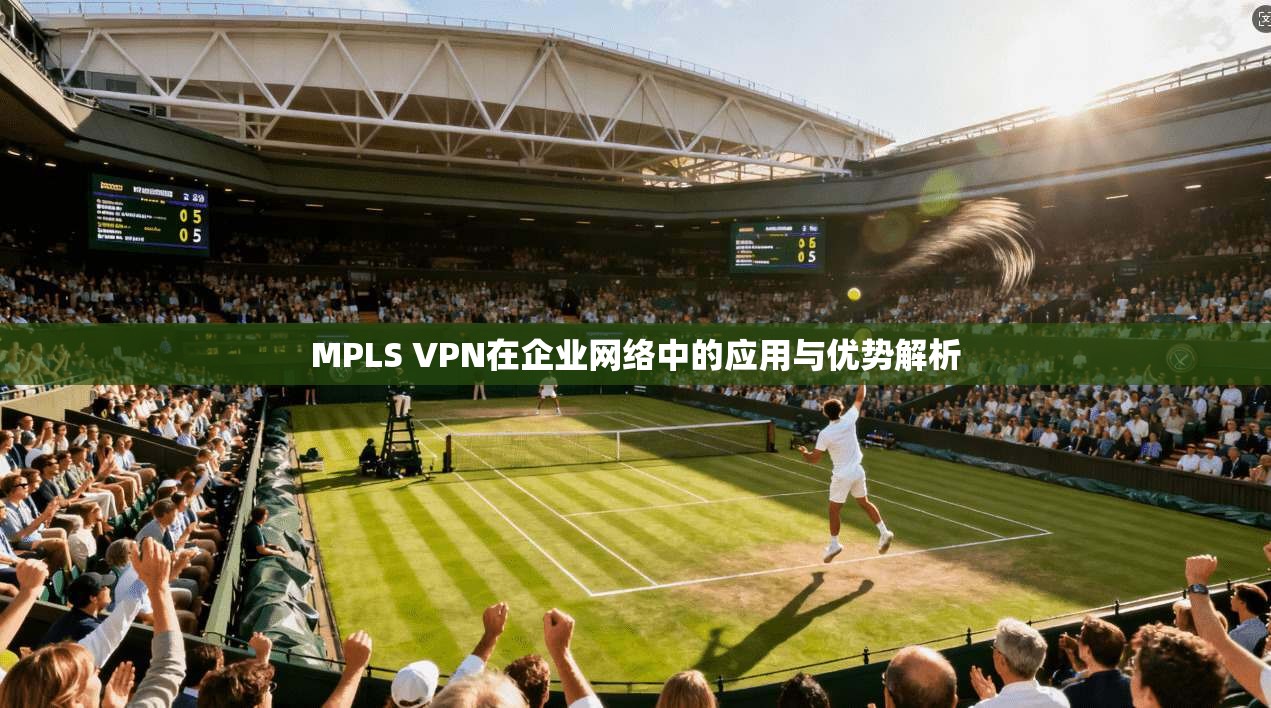 MPLS VPN在企业网络中的应用与优势解析