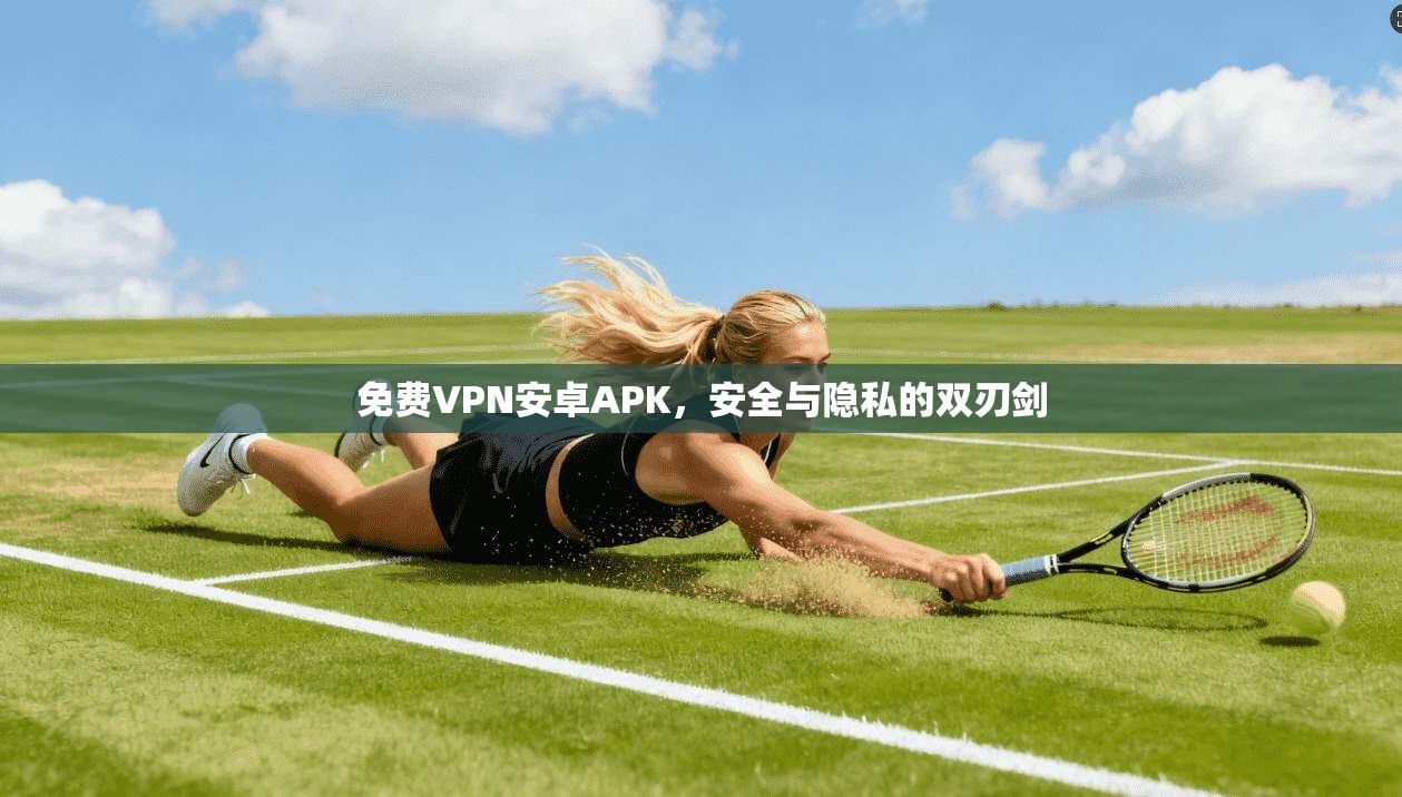 免费VPN安卓APK，安全与隐私的双刃剑