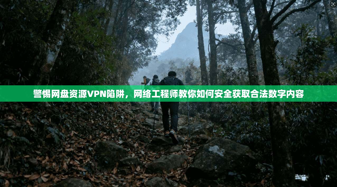 警惕网盘资源VPN陷阱，网络工程师教你如何安全获取合法数字内容