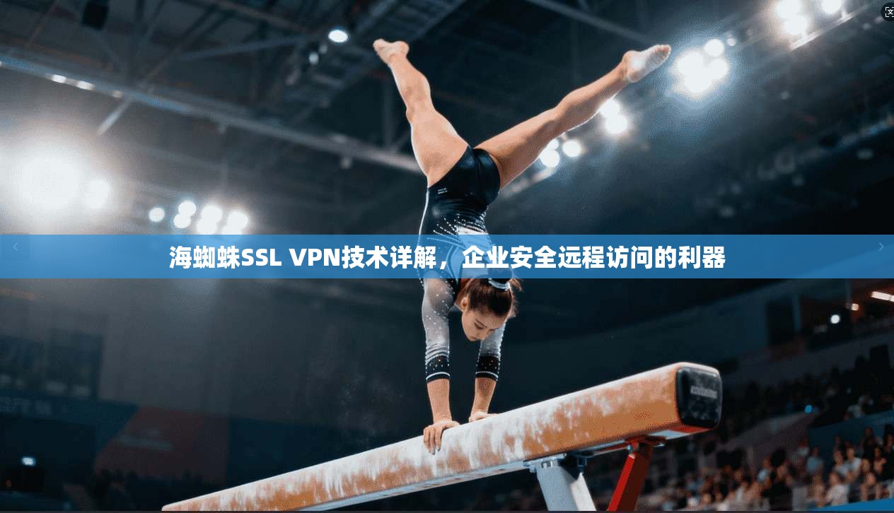海蜘蛛SSL VPN技术详解,企业安全远程访问的利器 海蜘蛛SSL VPN技术详解,企业安全远程访问的利器