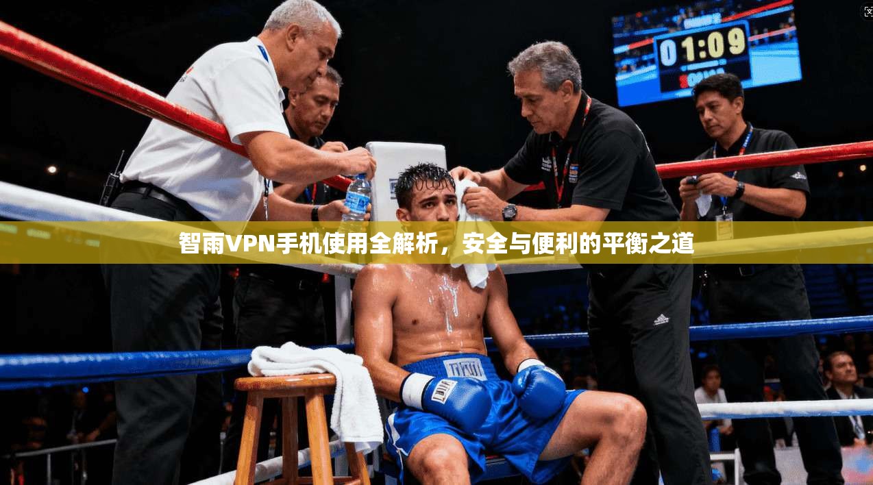 智雨VPN手机使用全解析，安全与便利的平衡之道
