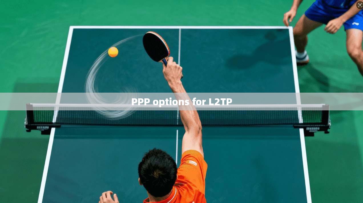 PPP options for L2TP