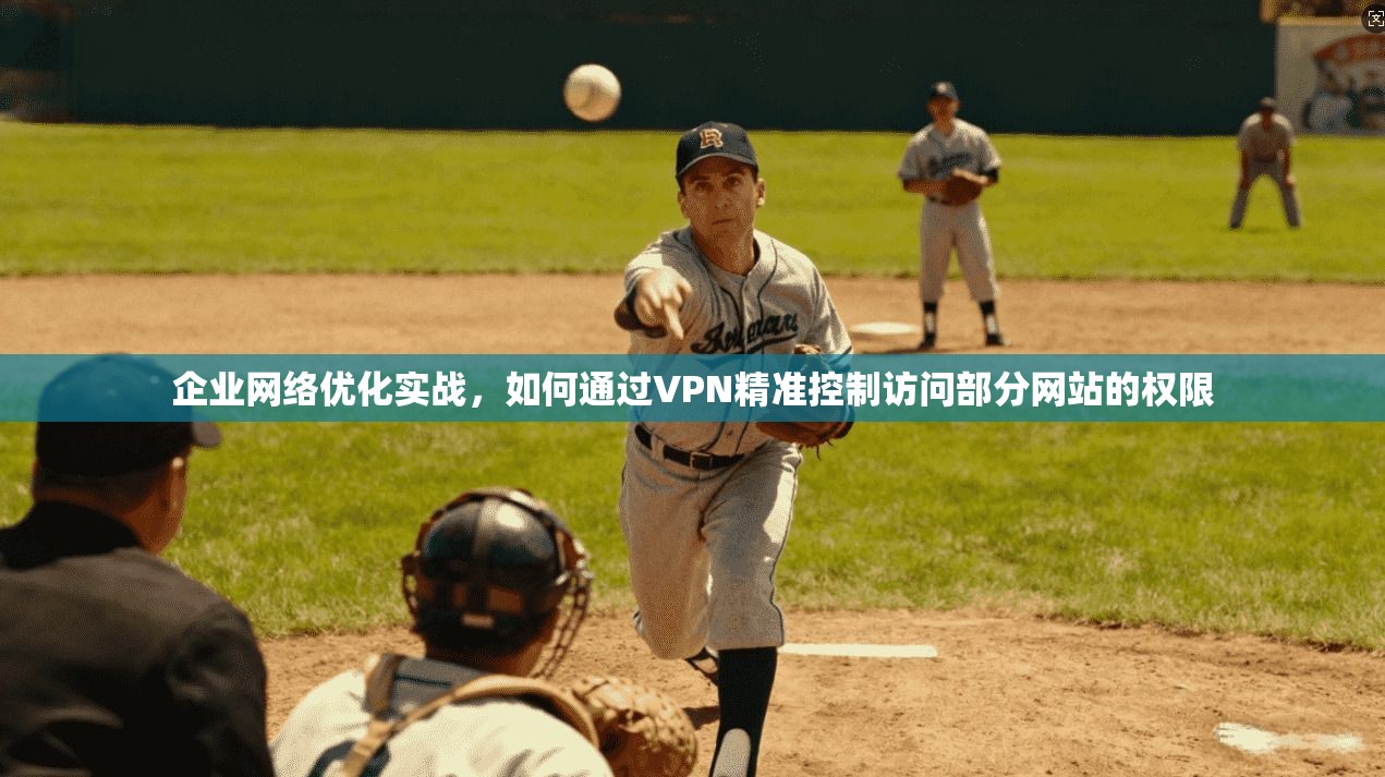 企业网络优化实战，如何通过VPN精准控制访问部分网站的权限