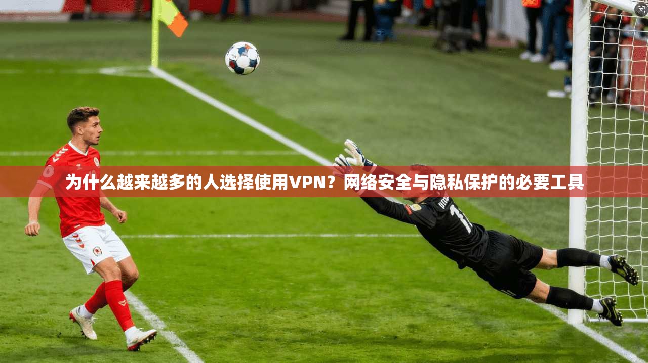 为什么越来越多的人选择使用VPN？网络安全与隐私保护的必要工具