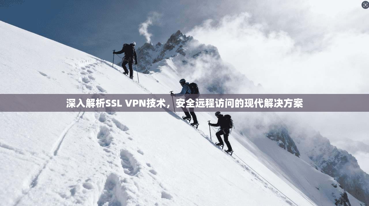 深入解析SSL VPN技术，安全远程访问的现代解决方案