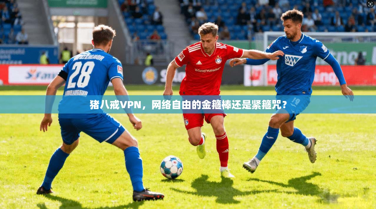 猪八戒VPN，网络自由的金箍棒还是紧箍咒？