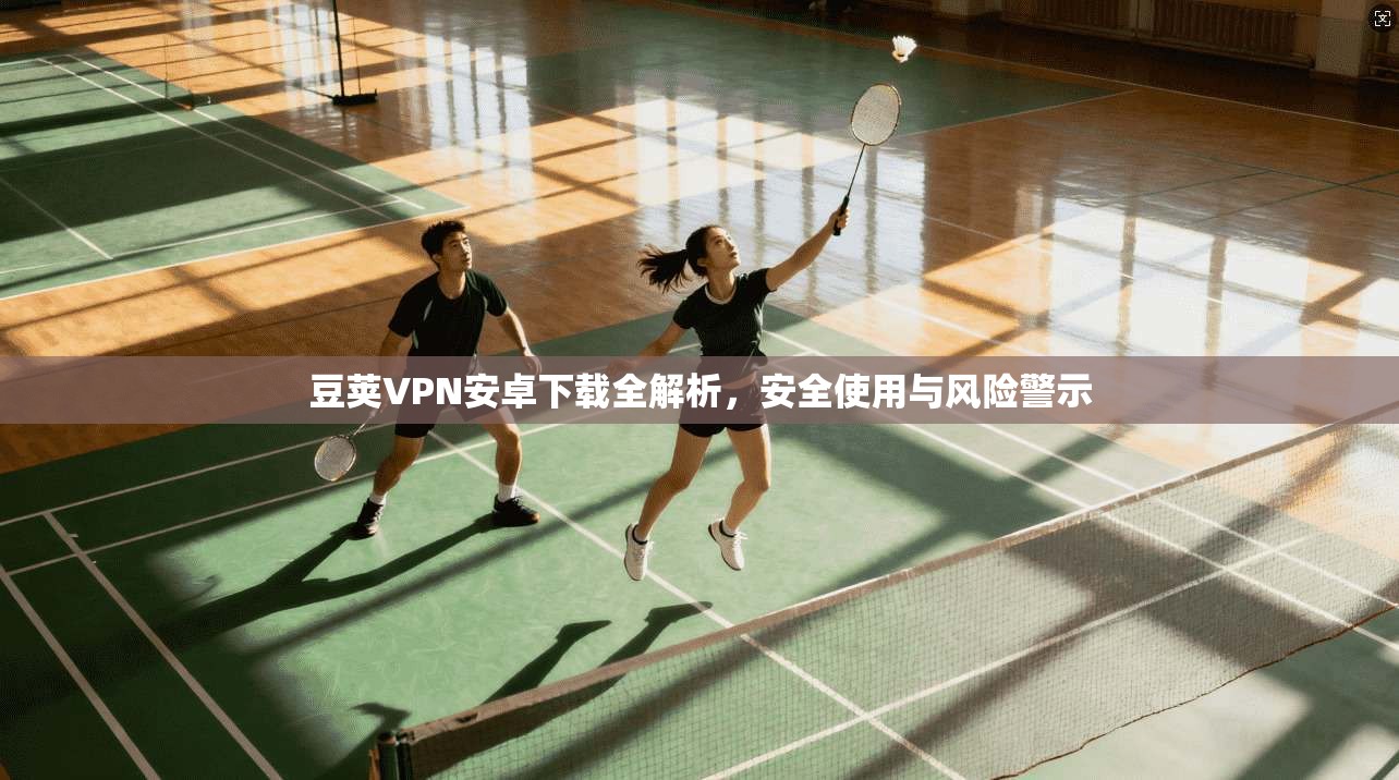 豆荚VPN安卓下载全解析，安全使用与风险警示