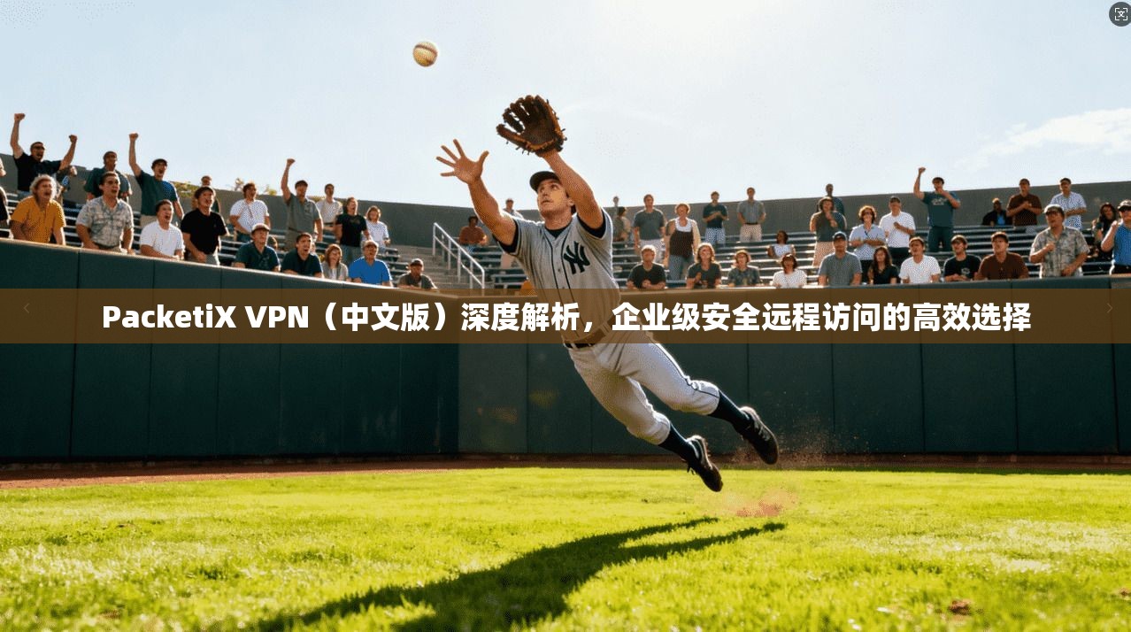 PacketiX VPN（中文版）深度解析，企业级安全远程访问的高效选择