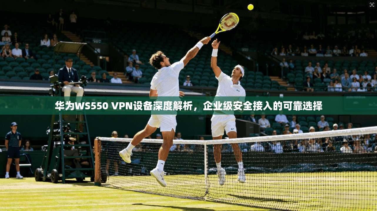 华为WS550 VPN设备深度解析，企业级安全接入的可靠选择
