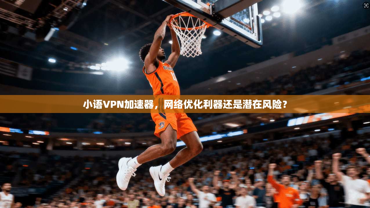 小语VPN加速器，网络优化利器还是潜在风险？