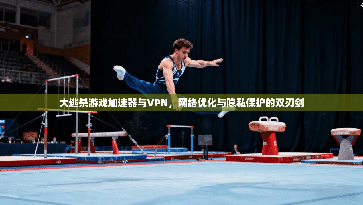 大逃杀游戏加速器与VPN，网络优化与隐私保护的双刃剑