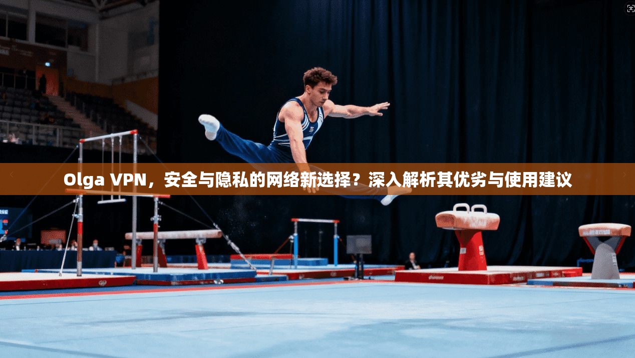 Olga VPN，安全与隐私的网络新选择？深入解析其优劣与使用建议