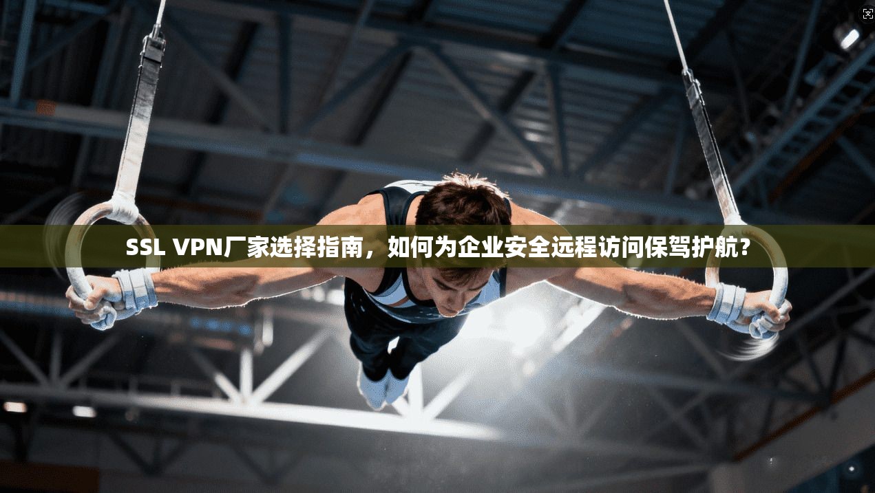 SSL VPN厂家选择指南,如何为企业安全远程访问保驾护航? SSL VPN厂家选择指南,如何为企业安全远程访问保驾护航?