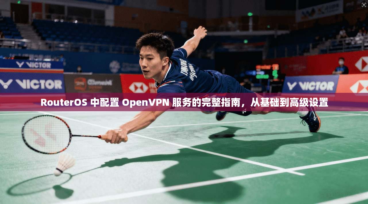 RouterOS 中配置 OpenVPN 服务的完整指南，从基础到高级设置