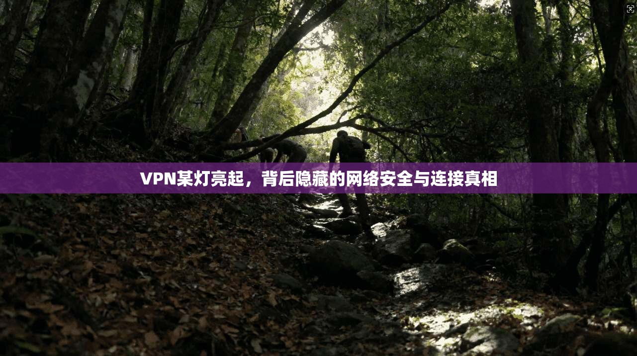 VPN某灯亮起,背后隐藏的网络安全与连接真相