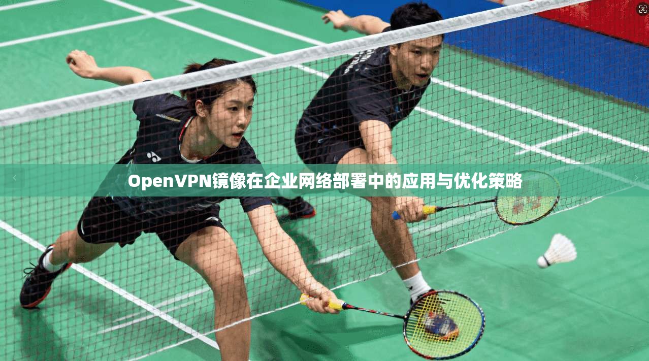 OpenVPN镜像在企业网络部署中的应用与优化策略