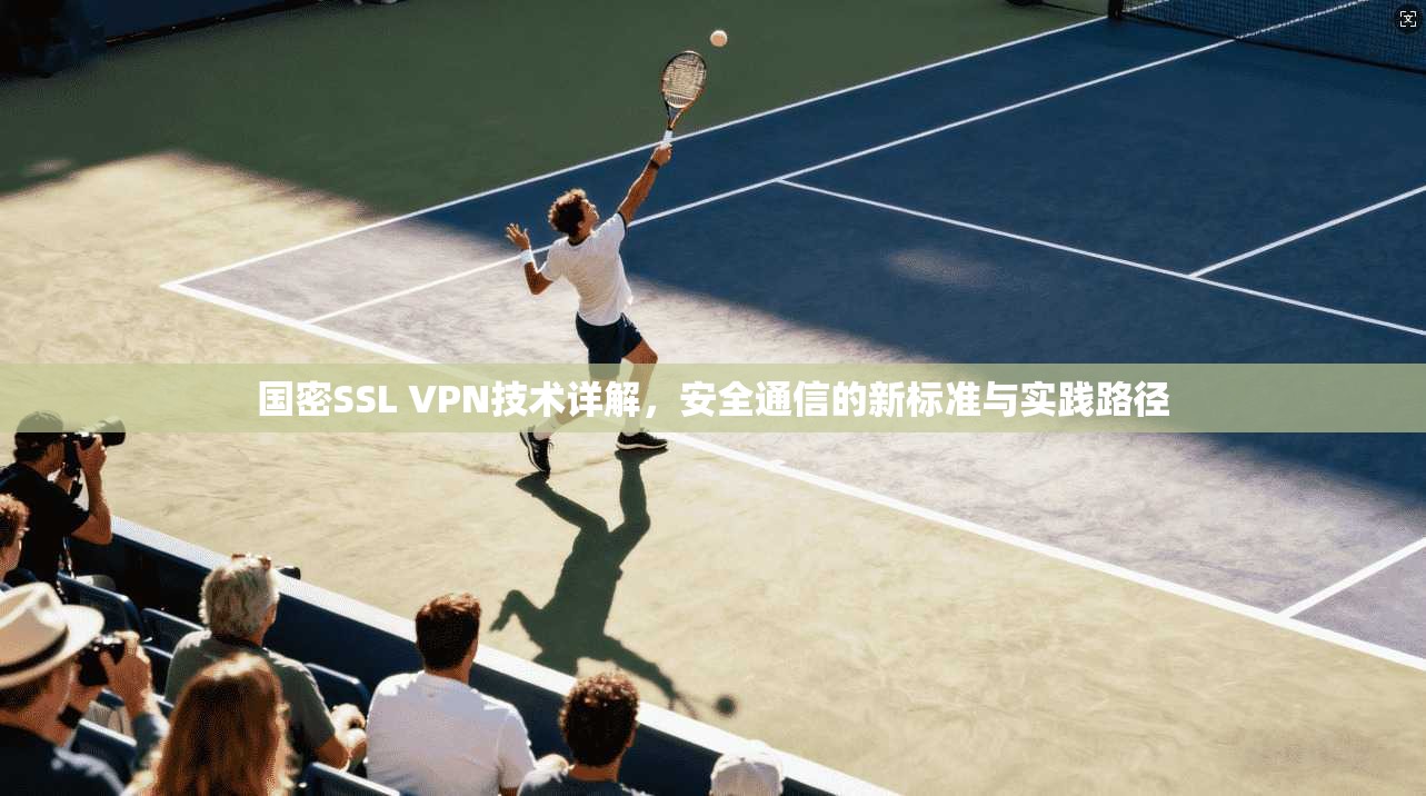 国密SSL VPN技术详解，安全通信的新标准与实践路径