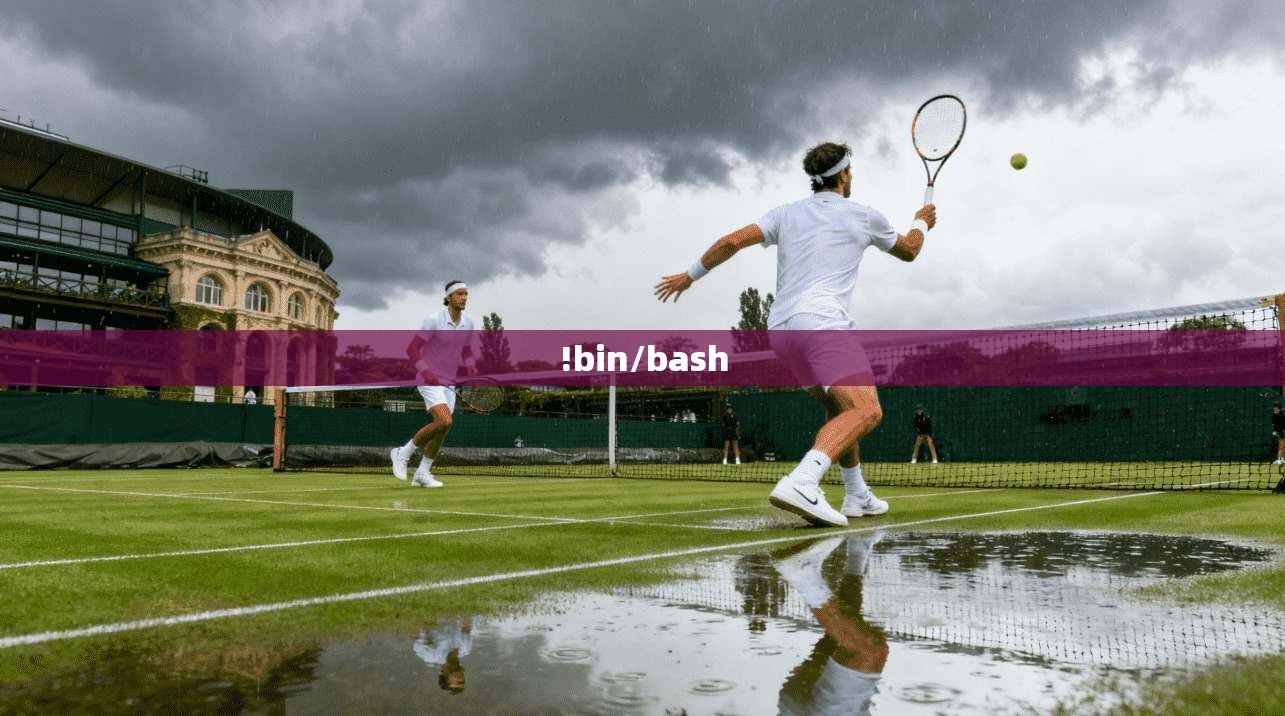 !bin/bash