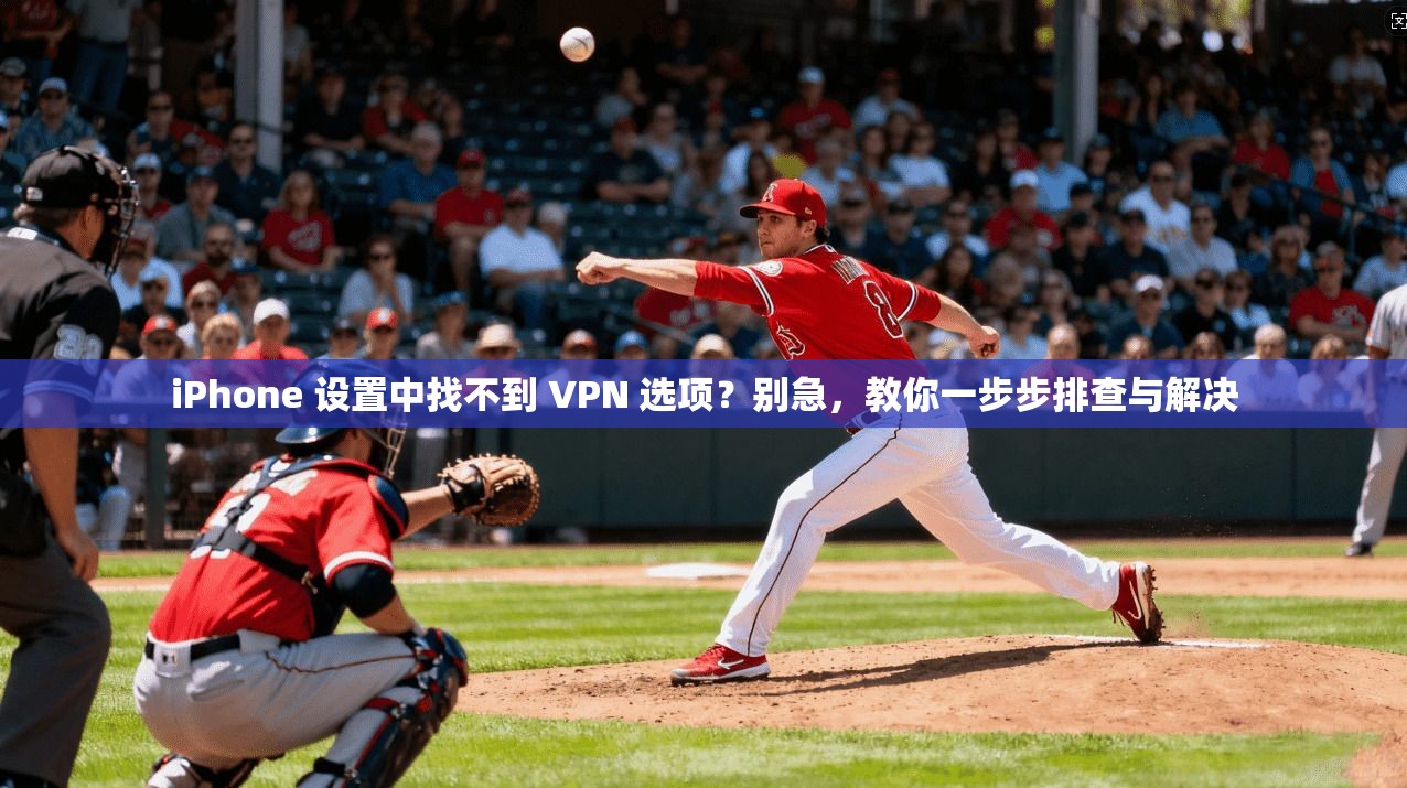 iPhone 设置中找不到 VPN 选项？别急，教你一步步排查与解决
