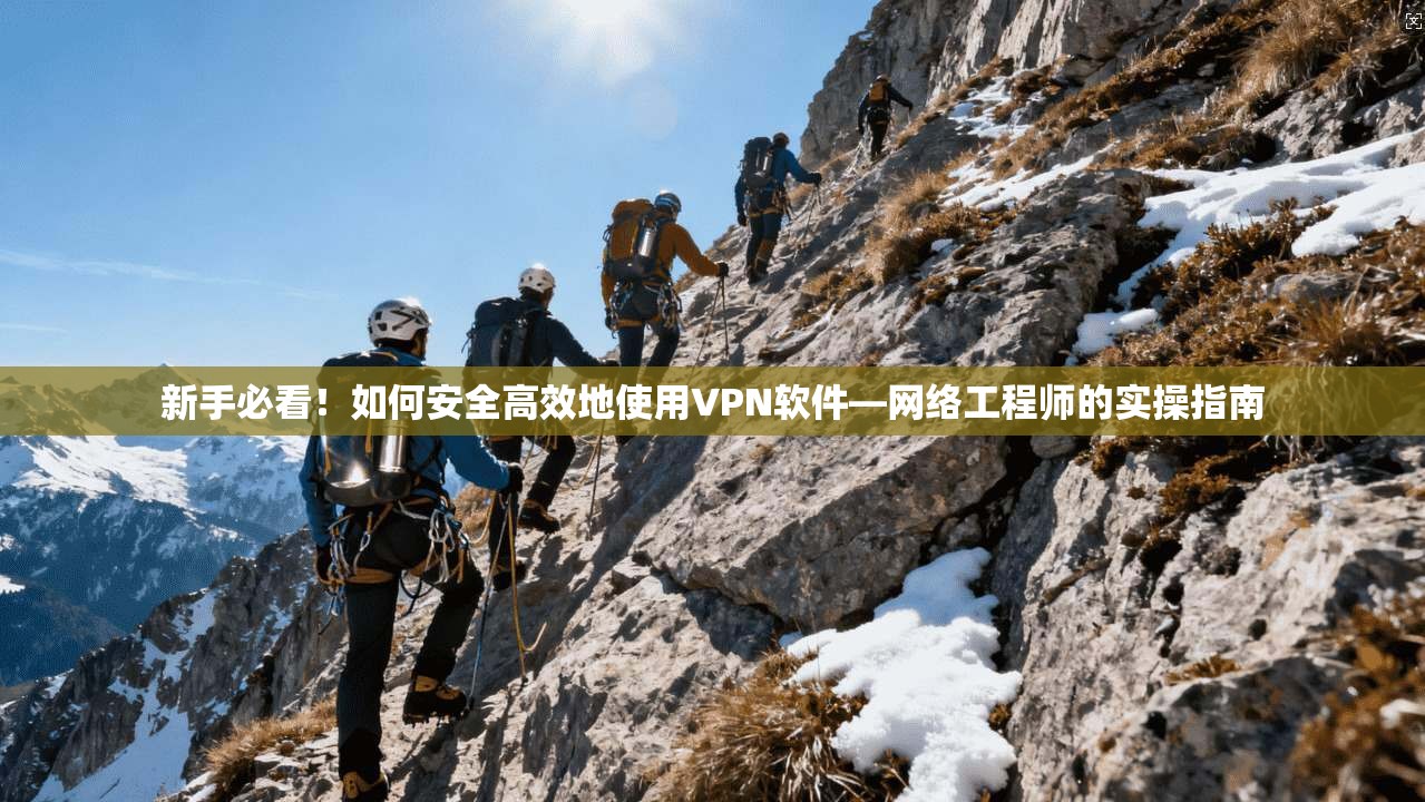 新手必看！如何安全高效地使用VPN软件—网络工程师的实操指南