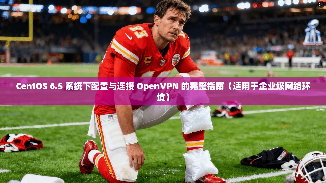 CentOS 6.5 系统下配置与连接 OpenVPN 的完整指南（适用于企业级网络环境）
