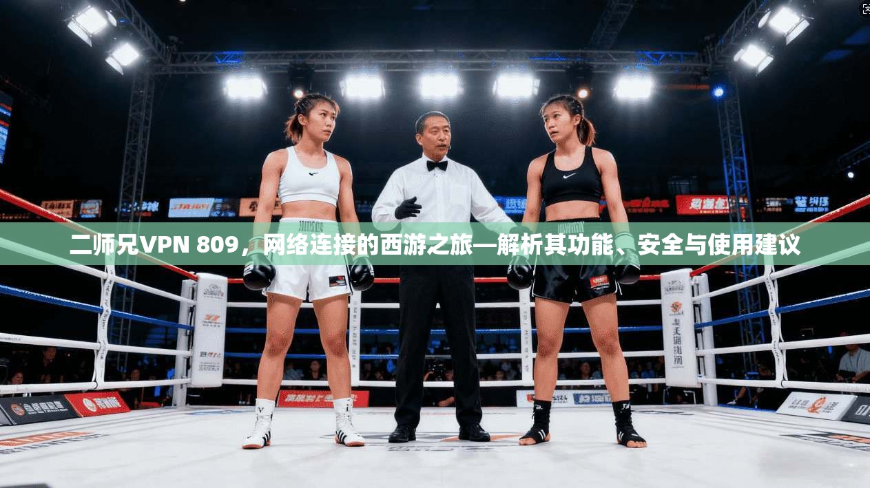 二师兄VPN 809，网络连接的西游之旅—解析其功能、安全与使用建议