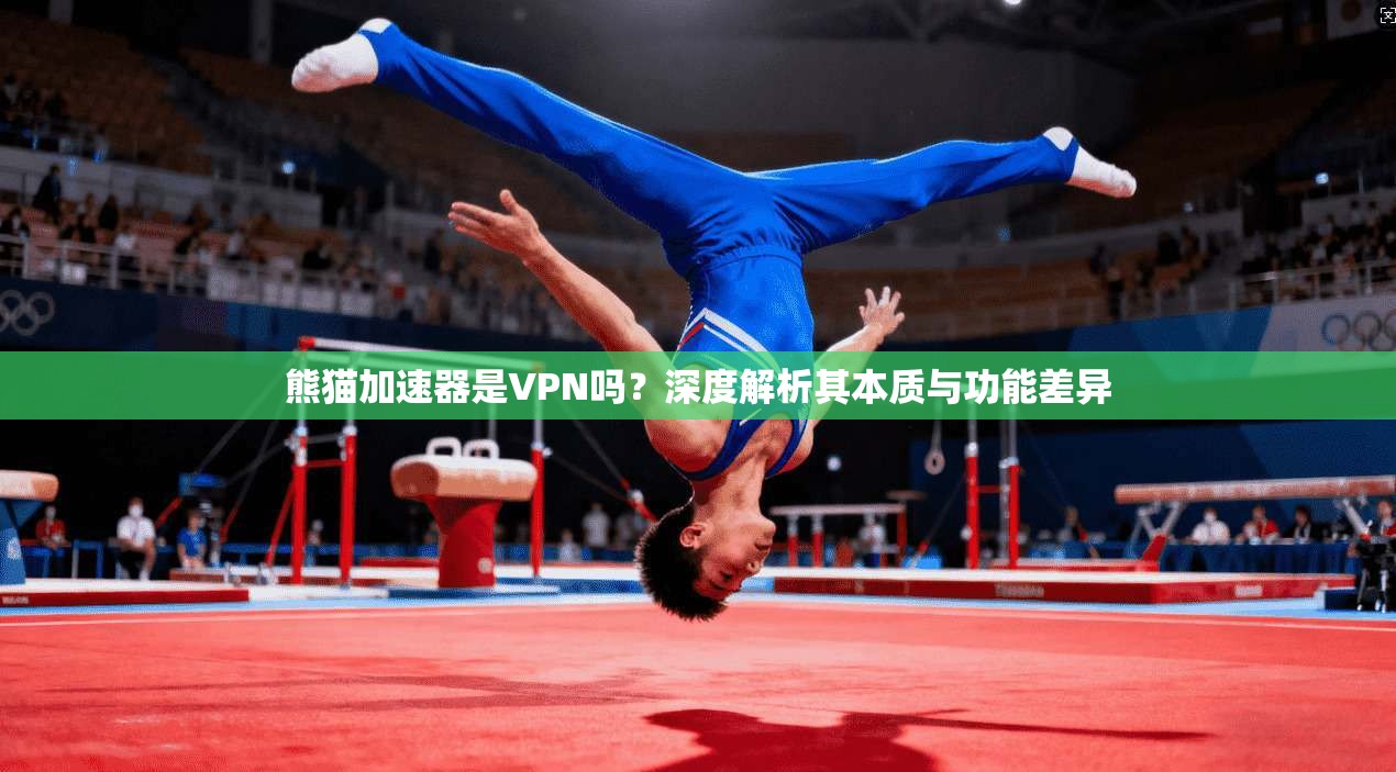 熊猫加速器是VPN吗？深度解析其本质与功能差异