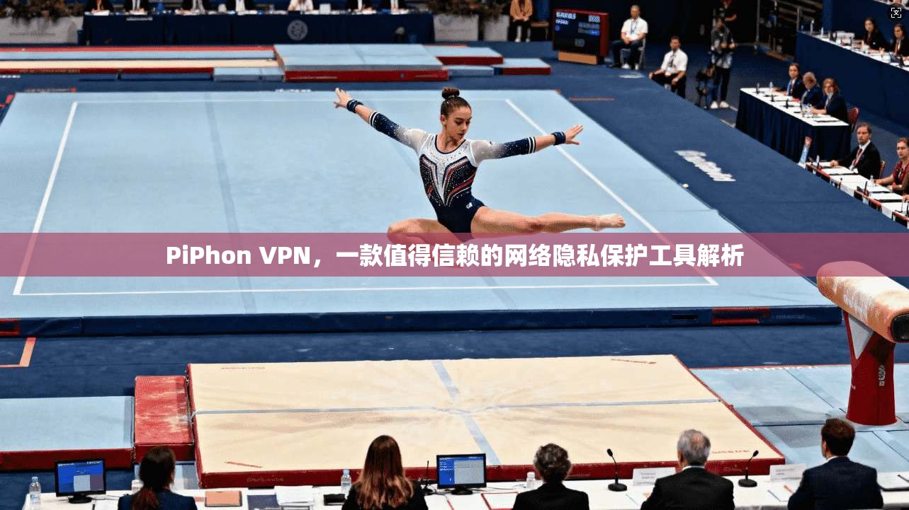 PiPhon VPN，一款值得信赖的网络隐私保护工具解析