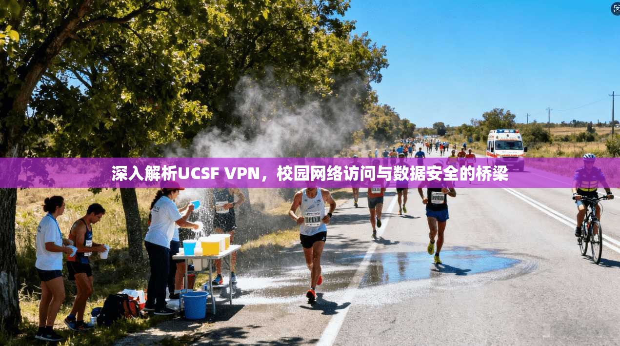 深入解析UCSF VPN，校园网络访问与数据安全的桥梁