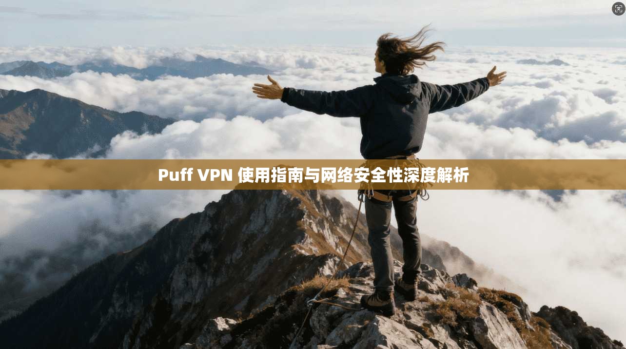 Puff VPN 使用指南与网络安全性深度解析