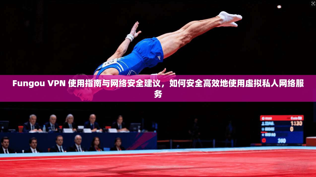 Fungou VPN 使用指南与网络安全建议，如何安全高效地使用虚拟私人网络服务