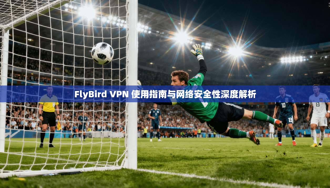 FlyBird VPN 使用指南与网络安全性深度解析
