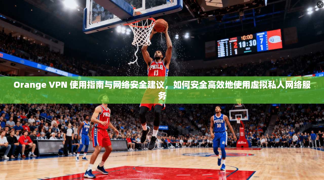 Orange VPN 使用指南与网络安全建议，如何安全高效地使用虚拟私人网络服务