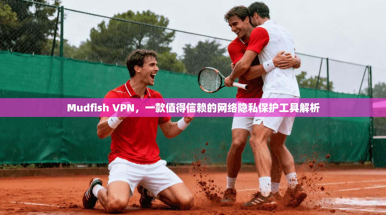 Mudfish VPN，一款值得信赖的网络隐私保护工具解析