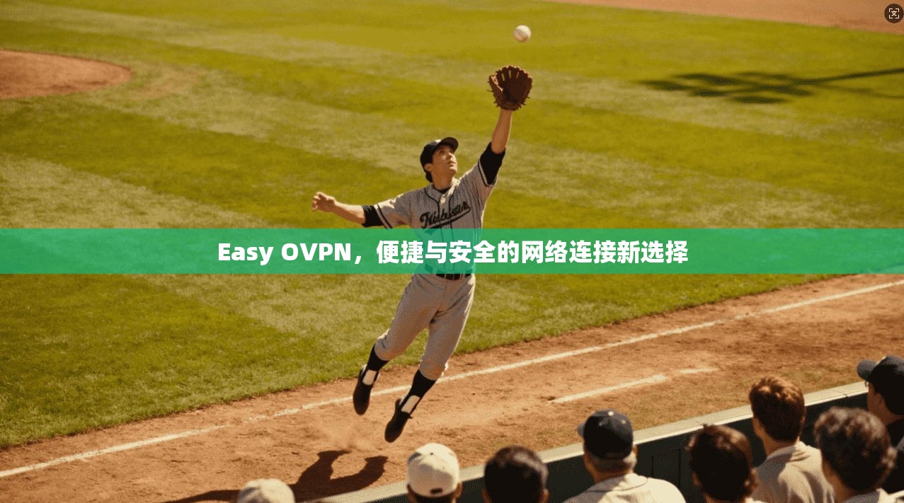 Easy OVPN，便捷与安全的网络连接新选择