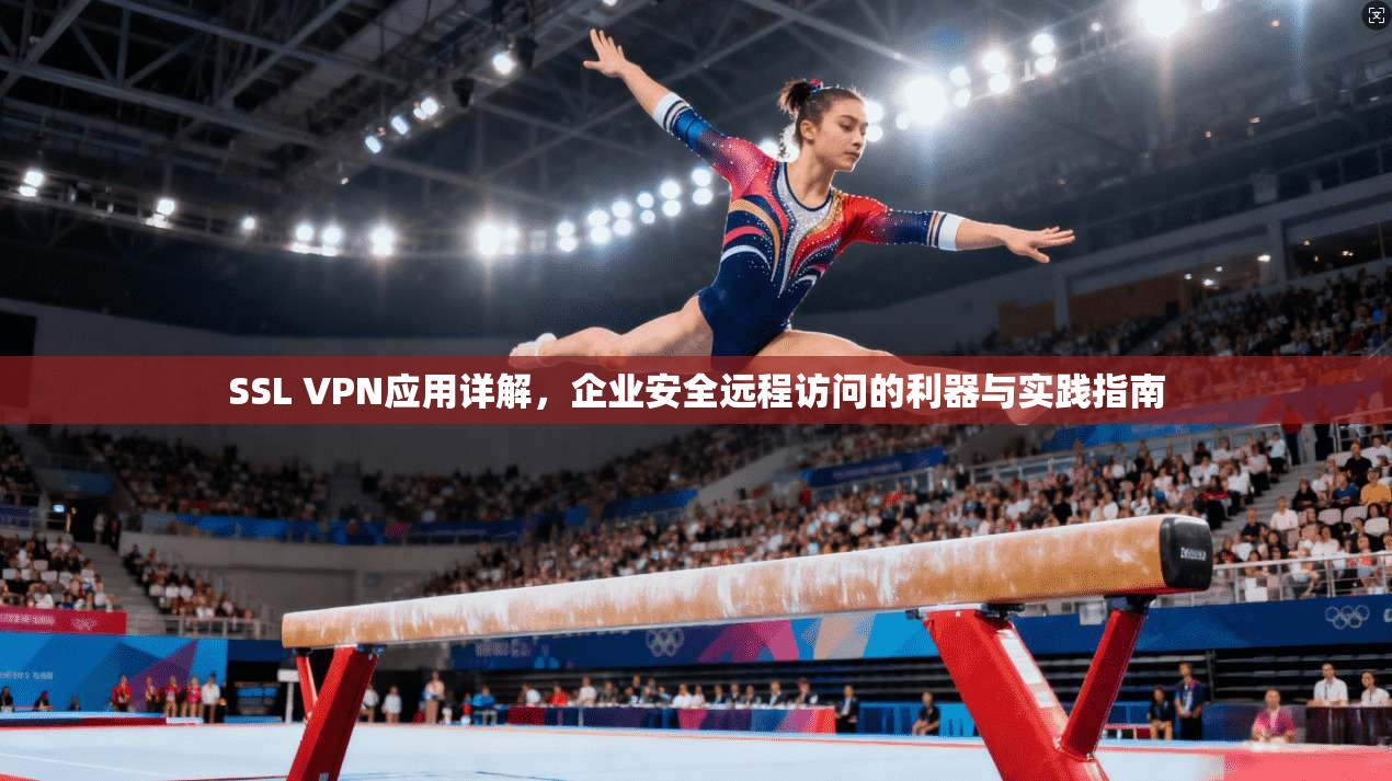 SSL VPN应用详解,企业安全远程访问的利器与实践指南 SSL VPN应用详解,企业安全远程访问的利器与实践指南