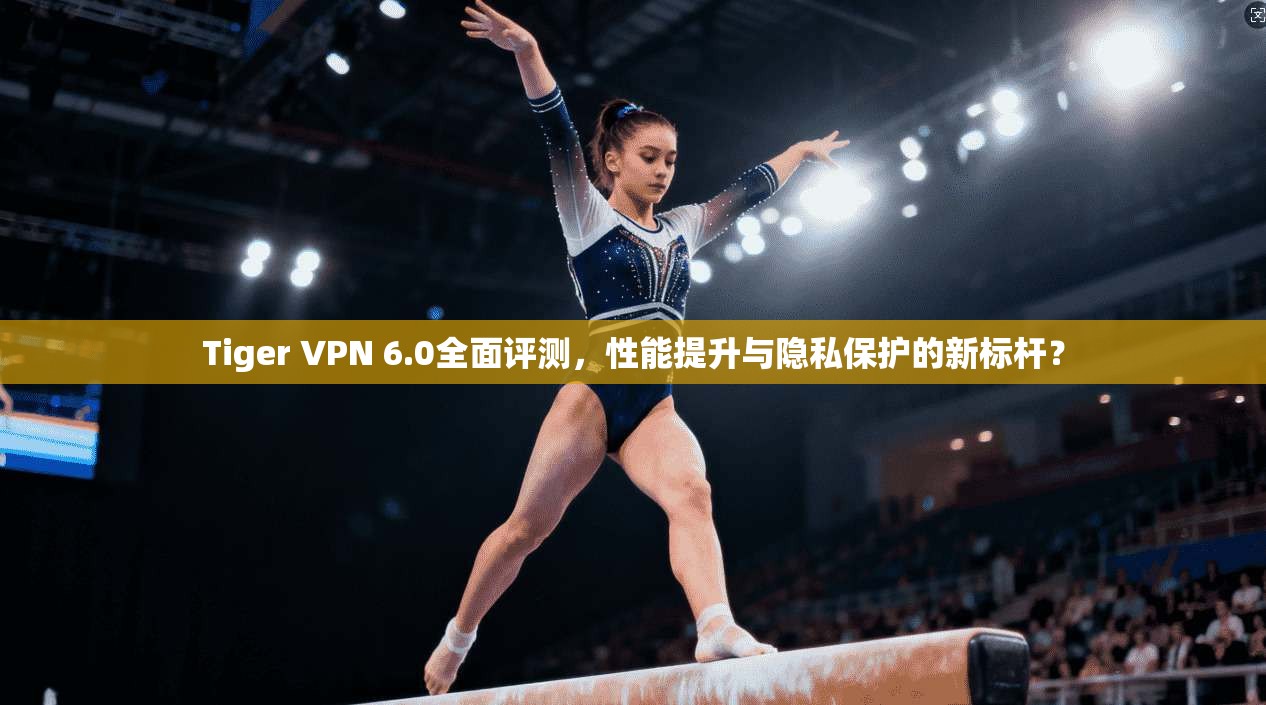 Tiger VPN 6.0全面评测，性能提升与隐私保护的新标杆？