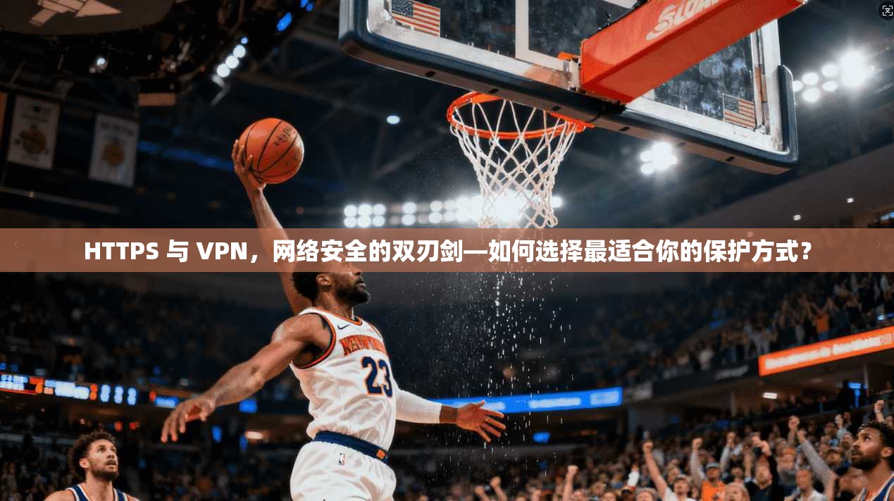 HTTPS 与 VPN，网络安全的双刃剑—如何选择最适合你的保护方式？