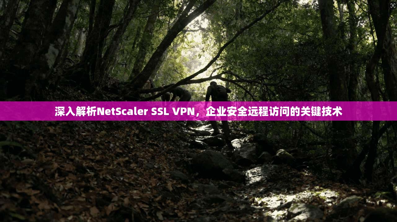 深入解析NetScaler SSL VPN，企业安全远程访问的关键技术