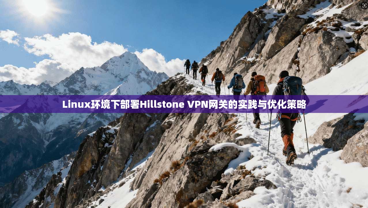 Linux环境下部署Hillstone VPN网关的实践与优化策略