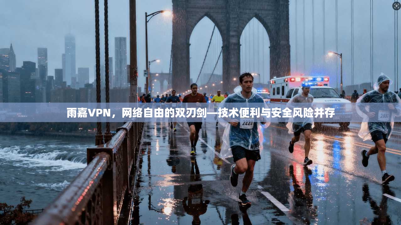 雨嘉VPN，网络自由的双刃剑—技术便利与安全风险并存