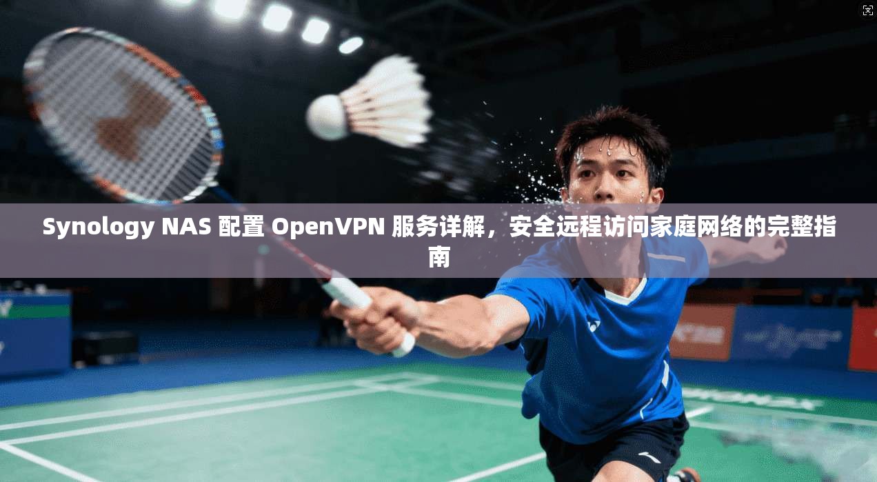 Synology NAS 配置 OpenVPN 服务详解，安全远程访问家庭网络的完整指南