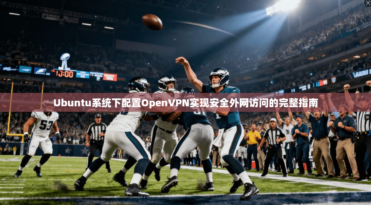 Ubuntu系统下配置OpenVPN实现安全外网访问的完整指南