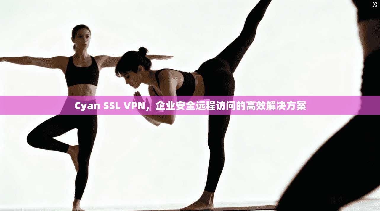 Cyan SSL VPN,企业安全远程访问的高效解决方案 Cyan SSL VPN,企业安全远程访问的高效解决方案